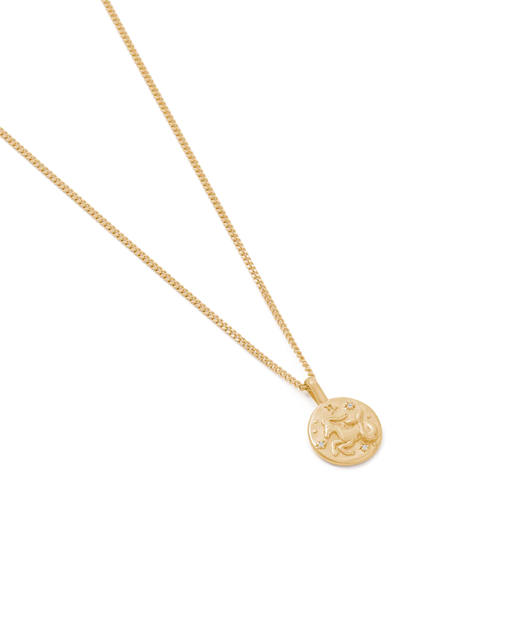 CAPRICORN PETITE ZODIAC NECKLACE (18K GOLD VERMEIL) - Image 4