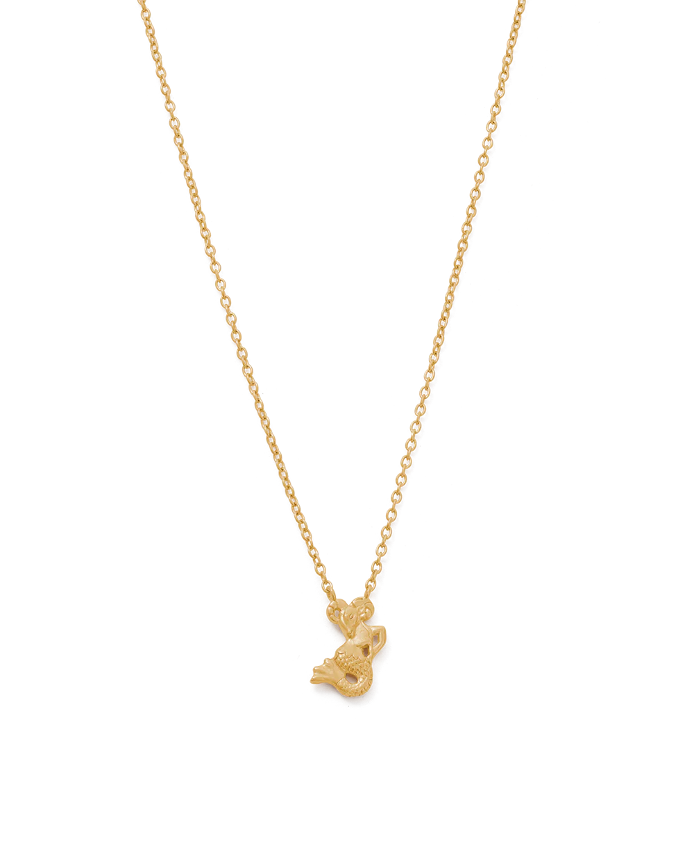 CAPRICORN STAR SIGN NECKLACE (18K GOLD VERMEIL)