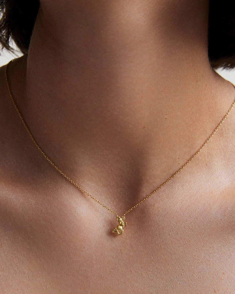 CAPRICORN STAR SIGN NECKLACE (18K GOLD VERMEIL) - Image 2