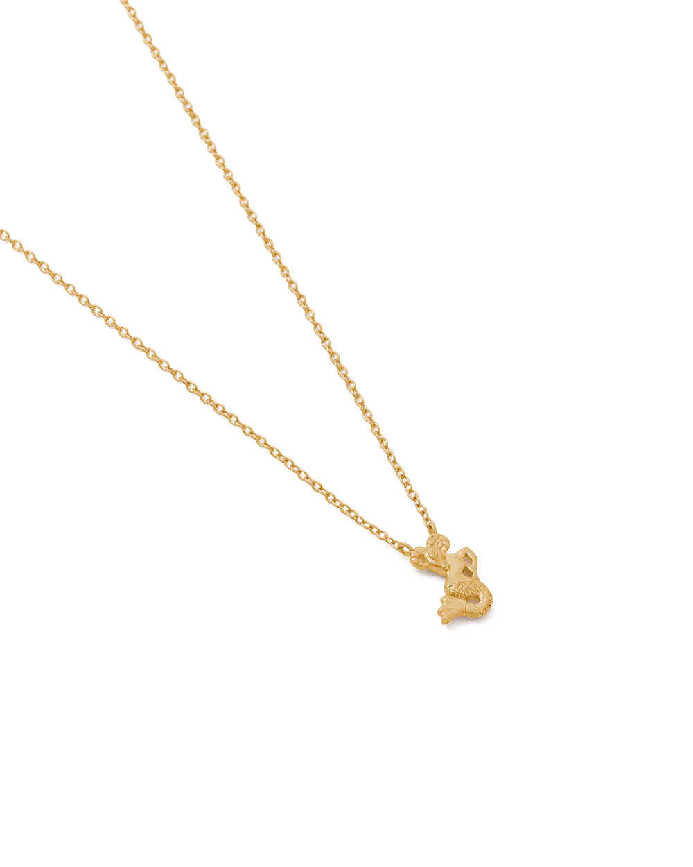 CAPRICORN STAR SIGN NECKLACE (18K GOLD VERMEIL) - Image 4