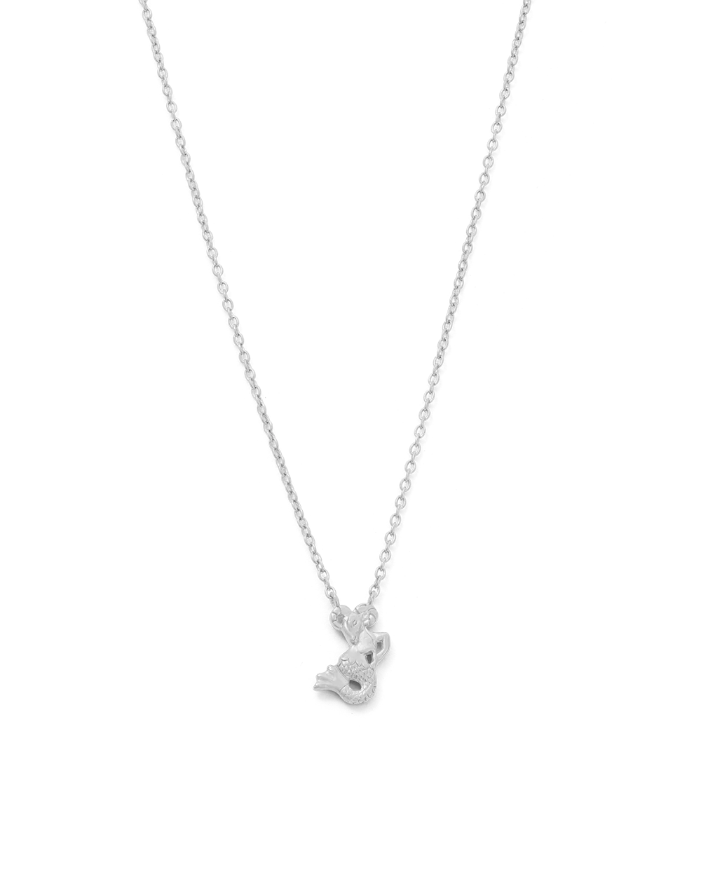 CAPRICORN STAR SIGN NECKLACE (STERLING SILVER)