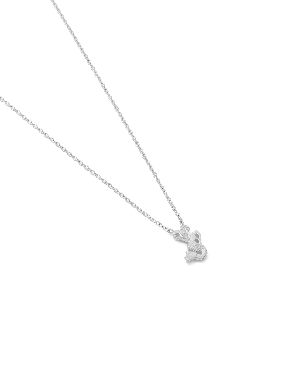 CAPRICORN STAR SIGN NECKLACE (STERLING SILVER) - Image 4