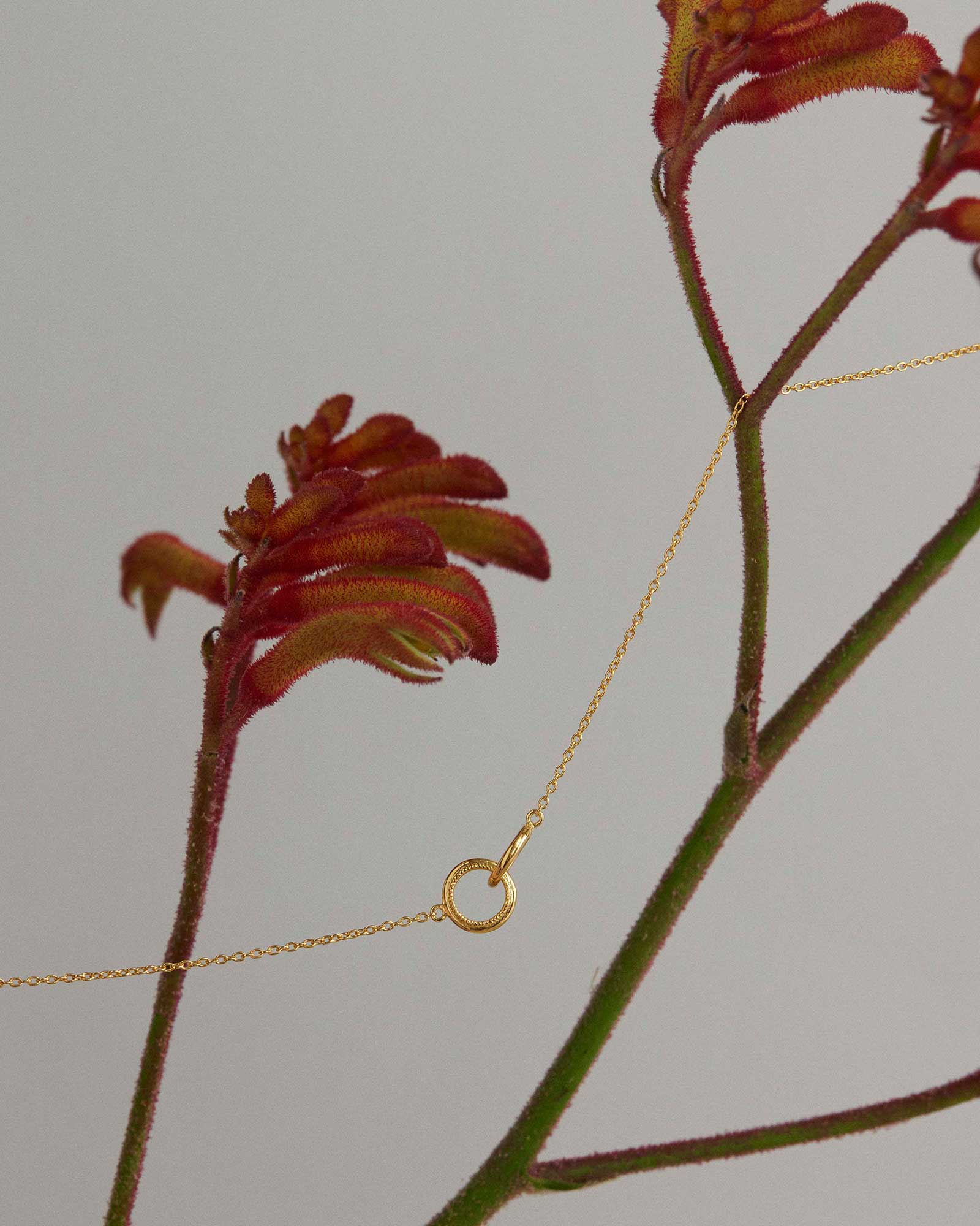 GRACE INFINITY NECKLACE (18K GOLD VERMEIL) - Image 4