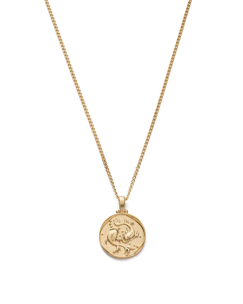 PISCES ZODIAC NECKLACE (18K GOLD VERMEIL)