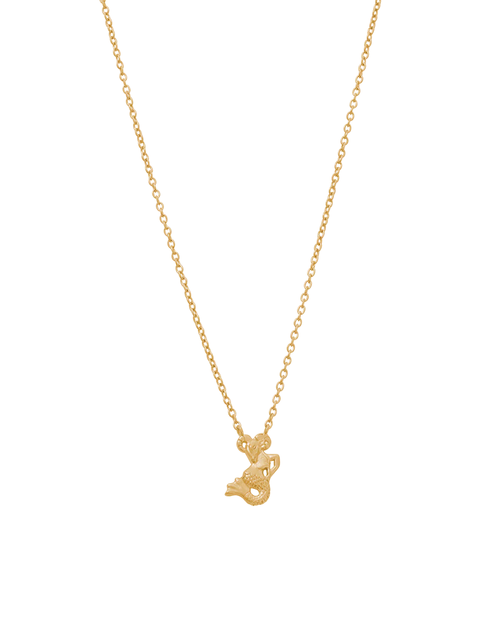 STAR SIGN NECKLACE (18K GOLD VERMEIL)