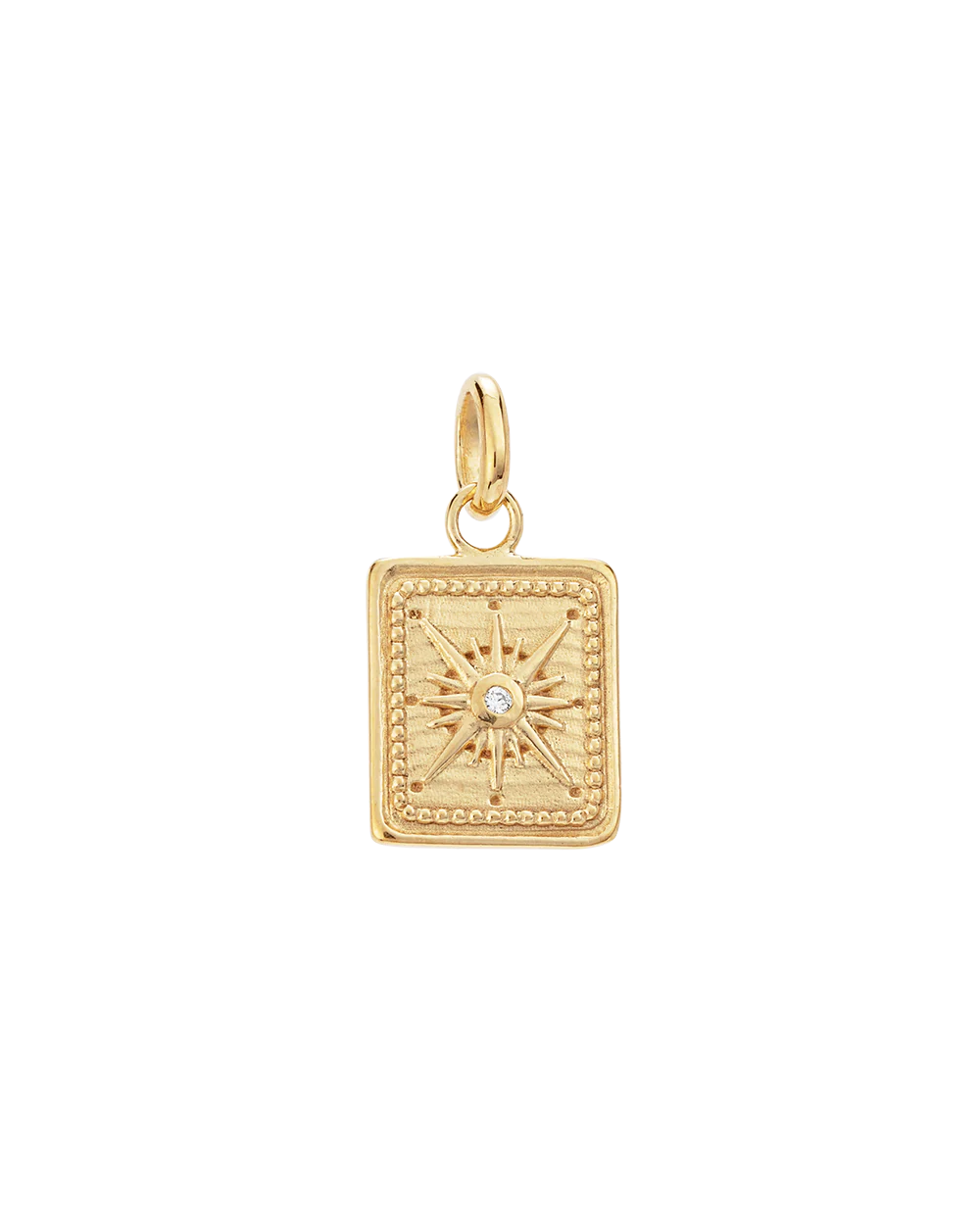TINY TRUE NORTH COIN (18K GOLD VERMEIL)